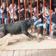 Spagna, uomo a terra viene incornato da un toro 04