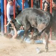 Spagna, uomo a terra viene incornato da un toro 5