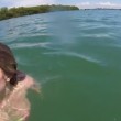 VIDEO YouTube - Urla disperata: "Uno squalo!!" ma... 7