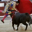 VIDEO YouTube – Saul Jimenez Fortes, torero colpito al collo da cornata 02