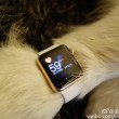 Cane con Apple Watch alle zampe: le FOTO del ricco rampollo cinese Wang Sicong 2