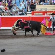 VIDEO YouTube – Saul Jimenez Fortes, torero colpito al collo da cornata 04