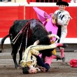 VIDEO YouTube – Saul Jimenez Fortes, torero colpito al collo da cornata 05