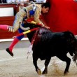 VIDEO YouTube – Saul Jimenez Fortes, torero colpito al collo da cornata 07