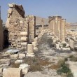 Palmira, VIDEO Isis mostra rovine archeologiche apparentemente intatte3