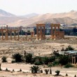 Palmira, VIDEO Isis mostra rovine archeologiche apparentemente intatte05