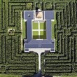 Parma, labirinto più grande del mondo: tre chilometri tra 200mila piante03