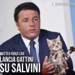 #gattisusalvini: pagina Facebook del leader Lega invasa dai mici FOTO 6