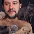 #gattisusalvini: pagina Facebook del leader Lega invasa dai mici FOTO 7