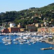Bandiere Blu 2015, 280 spiagge italiane premiate: Liguria regina 05