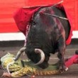 VIDEO YouTube – Saul Jimenez Fortes, torero colpito al collo da cornata 03