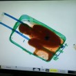 Abou, bambino ivoriano di 8 anni nascosto nel trolley prova entrare Spagna02