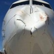 Bird strike Turkish Airlines, aereo contro uccelli: Boeing ammaccato FOTO 4