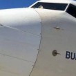 Bird strike Turkish Airlines, aereo contro uccelli: Boeing ammaccato FOTO 3