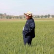 Kim Jong-un, leader Corea del Nord vestito da agricoltore visita fattoria03