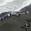 California, il mistero delle balene morte sulla costa03