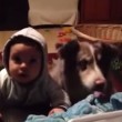 VIDEO YouTube: cane affamato dice "mamma" prima del bimbo, lui non la prende bene5