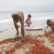 VIDEO YouTube, FOTO - Spiaggia di San Diego invasa dai granchi rossi 2