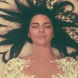 Kendall Jenner batte Kim Kardashian: sua la FOTO su Instagram con più "like"