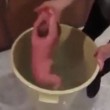 neonato nel secchio d'acqua gelata, Facebook rimuove filmato02