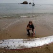 Oarfish, gigantesco serpente marino spiaggiato in California01