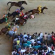 Palio di Siena 2015: elenco cavalli e contrade. Periclea cade e viene abbattuta