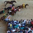 Siena, cavallo Periclea abbattuto: petizione online per stop al Palio