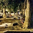 Roma, stazione Tiburtina: profughi dormono in strada tra feci e rifiuti03