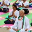 Yoga Day, in India milioni di partecipanti in strada. Anche premier Modi FOTO 3