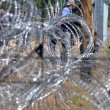 Ungheria, al via lavori per muro anti-migranti FOTO: sarà lungo 175 km 02