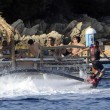 Luigi Berlusconi, acrobazie acquatiche a villa Certosa con gli amici16