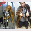 Kala e Keira, i due cani si abbracciano: la FOTO li salva dall'eutanasia2