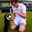 Andy Murray gioca e bacia i cuccioli di cocker