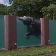VIDEO YouTube, Giappone: gli elefanti nuotano in piscina nello zoo5