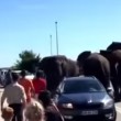 VIDEO YouTube: elefante rovescia una macchina dopo aver visto l'addestratore6