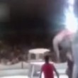 VIDEO YouTube. Elefante circo cade rovinosamente a terra: soccorso dagli altri elefanti 04