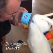 VIDEO YouTube: pappagallo urla nella tazza, l'eco sembra divertirlo5
