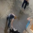 pitbull aggredisce labrador, donna lo colpisce con pala e libera il cane2