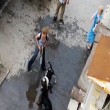 pitbull aggredisce labrador, donna lo colpisce con pala e libera il cane3