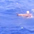 VIDEO-CHOC: fucilati in mare quattro uomini, ma la loro morte è un mistero