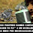 Foo Fighters fanno cose buone: aiutano Paolo Brosio... 07