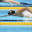 Nuoto, Mondiali: Gregorio Paltrinieri oro11