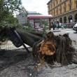 VIDEO YouTube - Bologna: nubifragio con alberi spezzati6