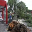VIDEO YouTube - Bologna: nubifragio con alberi spezzati5