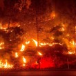 VIDEO YouTube - California, incendi ovunque: 12mila persone sgomberate3
