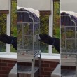 VIDEO YouTube: pappagallo "abbaia" al Labrador, la lite fa ridere5