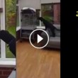 VIDEO YouTube: pappagallo "abbaia" al Labrador, la lite fa ridere3