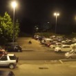 VIDEO YouTube - Roma, cinghiali a Monte Mario nel parcheggio2