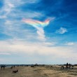 Usa, nuvola arcobaleno nel cielo: ecco come si forma FOTO 4
