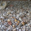 Sardegna, turisti rubano spiagge: in aeroporto presi con la sabbia nel sacco04
